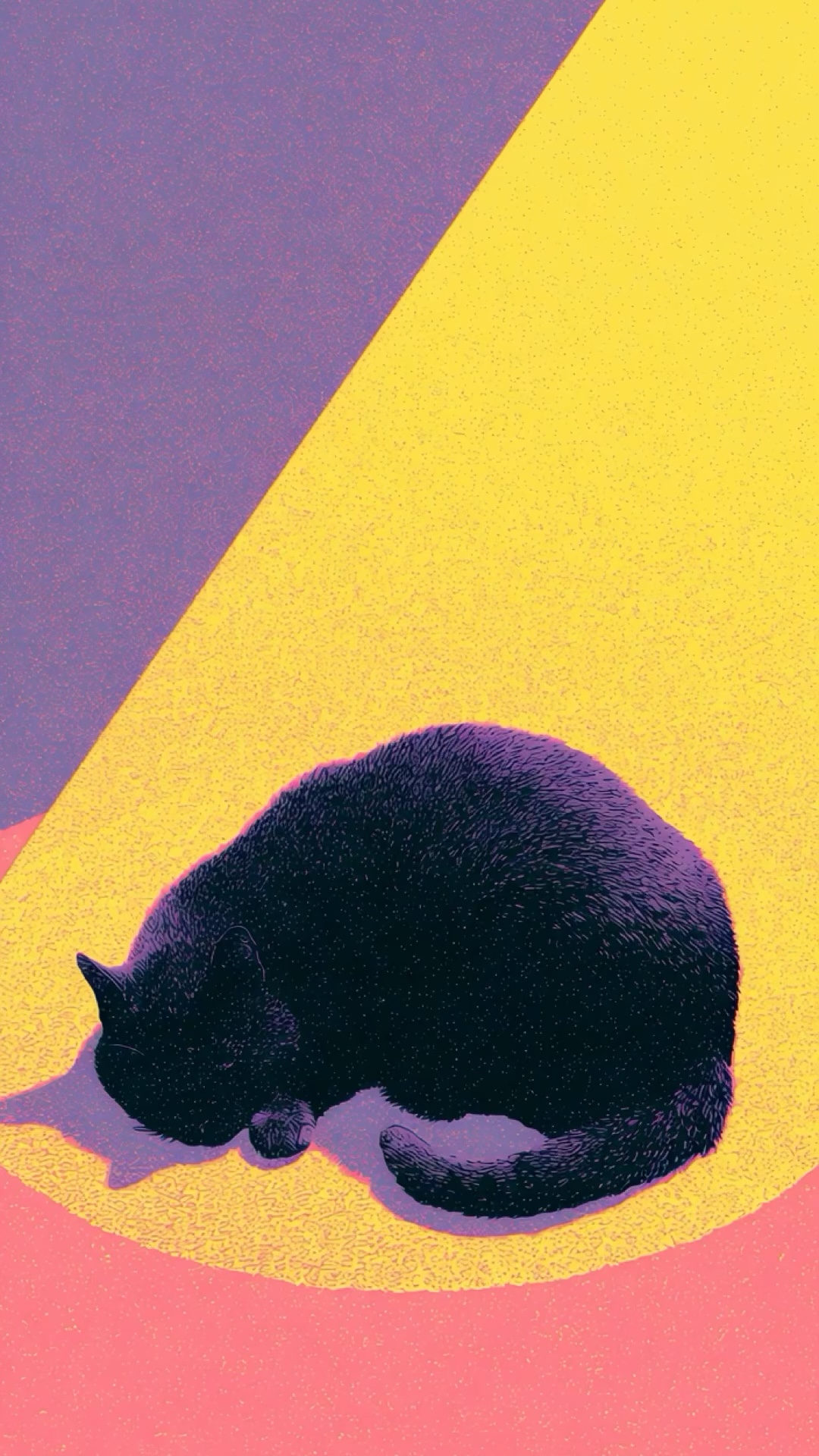 Spotlit Cat wallpaper artwork