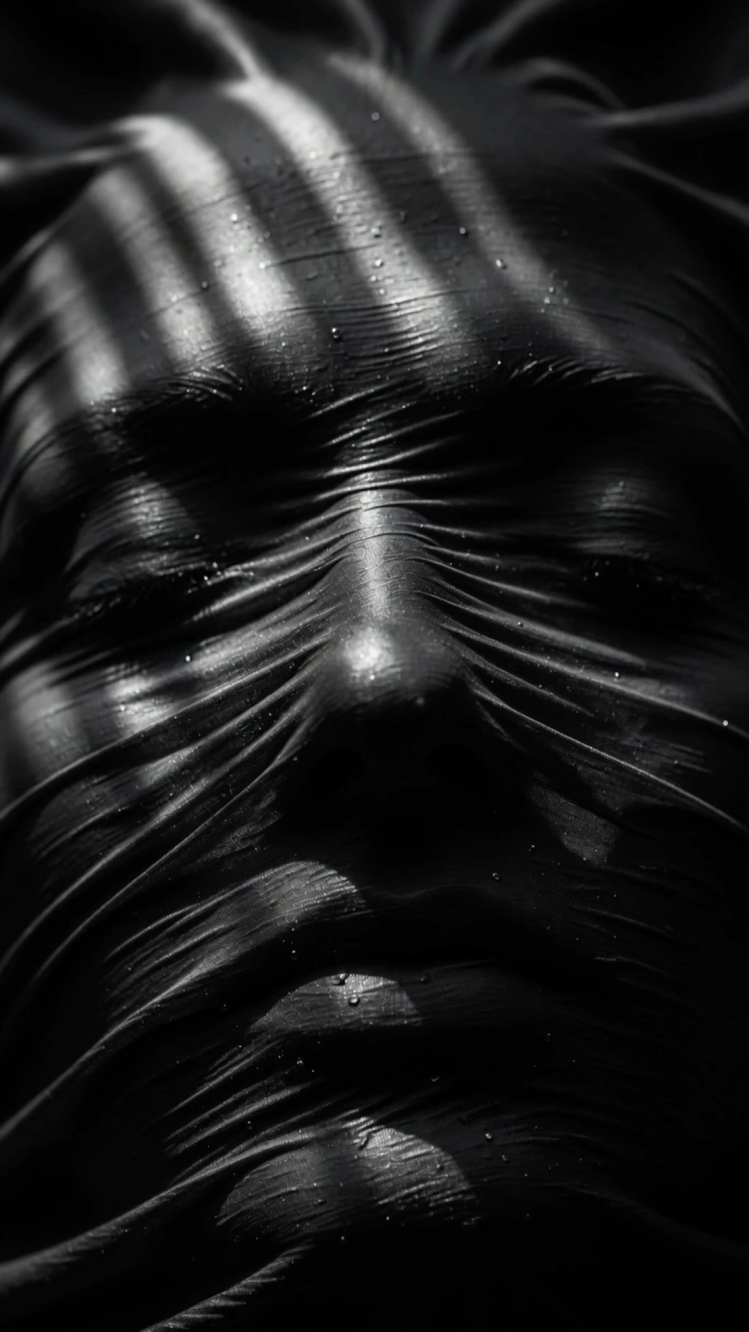Striped Veil wallpaper artwork